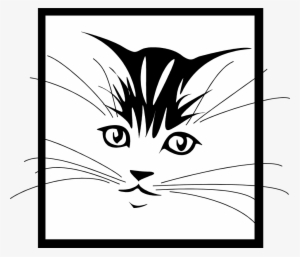 Cat Free Stock Photo Illustration Of A Kitten Face - Cat Face Tattoos #3122558