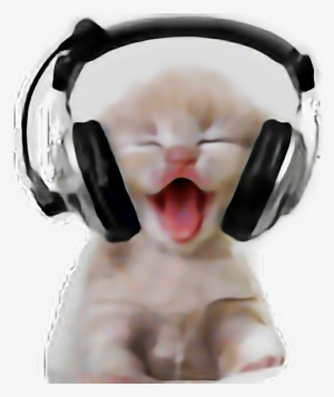 Made By @swalker3 Headphones Earphones Cat Kitty Kitten - Funny Mental Health Gif #3122898