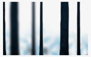 Black Forest #3122946