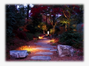 Tree Lighting Techniques - Landscape Lighting #3123446