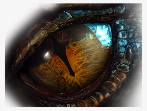 A Rude Awakening - The Hobbit: The Battle Of The Five Armies #3124039