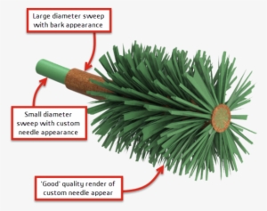 Now That We've Figured Out The Pine Needles, The Rest - Colorado Spruce #3125247