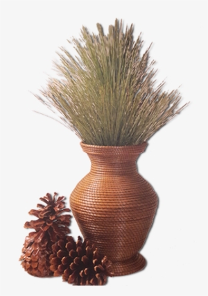 Made With Braided Pine Needles, Basketry Thread And - Vase #3125278