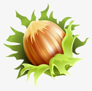 Hazelnut Clipart #3125514