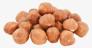 Raw Hazelnut Roasted Hazelnut In Bulk - Hazelnut Oil For Hair #3125536