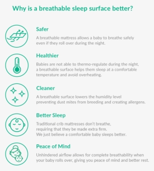 Newton Baby Crib Mattress #3127025