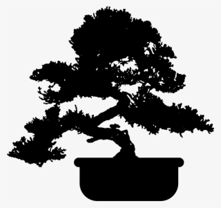 분재 Png 무료다운로드 Free Bonsai Png Download - Transparent Bonsai Tree Silhouette #3127096
