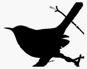 Robin Clipart Wren - Wren #3127557