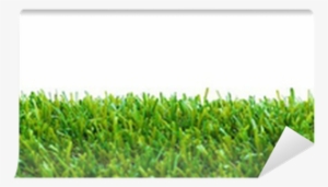 Lawn #3127559