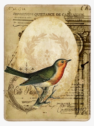 83087601 O - East Urban Home 'vintage Bird 3' Graphic Art Print #3127627