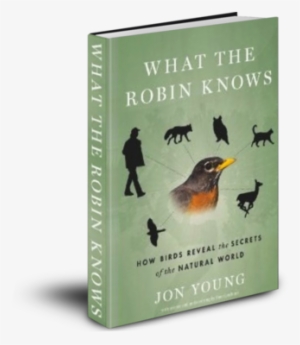 What The Robin Knows Jon Young - Robin Knows: How Birds Reveal The Secrets Of #3127681