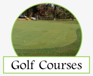 A Golf Putting Green, Grass Tennis Court Or A Soccer - Lawn #3127953