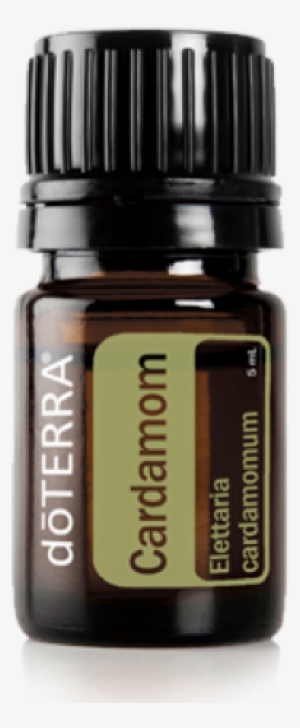 Cardamom-oil Choice Essential - Doterra Breathe Essential Oil 5ml Dt-breathe-5ml #3128121