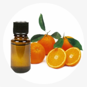 Orange Oil #3128142 Orange Oil #3128142