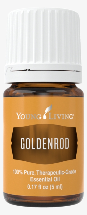 Goldenrod - Young Living Ocotea Essential Oil 5 Ml #3128184