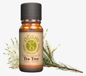 Ogam Tea Tree Pure Essential Oil #3128273