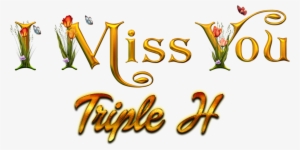 Miss You Roman Reigns #3128318