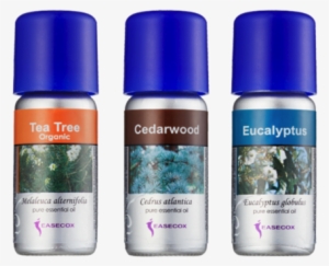 Respiratory System - Easecox Essential Oil 内分泌 #3128869