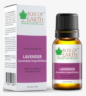Lightbox - Bliss Of Earth Premium Eucalyptus Eucalyptus Globulus #3129109
