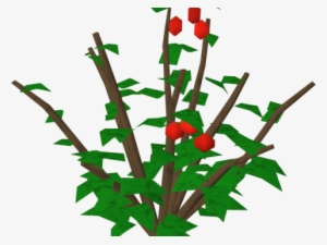 Rose Bush Clipart Holly Berry Bush - Berry #3129441