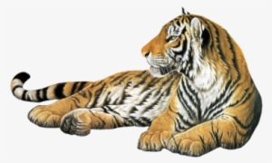 Deviantart, Png, And Tiger Image #3130682 Deviantart, Png, And Tiger Image #3130682