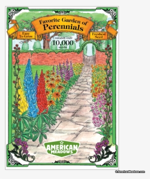 Favorite Garden Of Perennials Jumbo Packet - Jumbo Frame #3130992