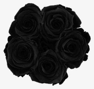 Prev - Roses In A Box - Bella's Flower Shop #3131282