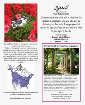 Ruffed Grouse Range #3131430