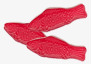 Featured Products - Wool #3133390