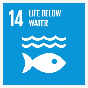 The Un - Life Below Water Sdg #3134151