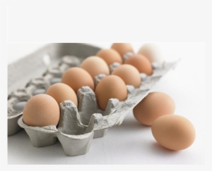 Egg Cartons, Egg Trays - Paper Egg Container #3136859