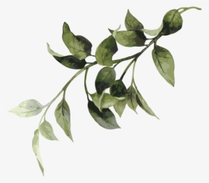Shrubbery - Sorrow Of War [book] #3138362