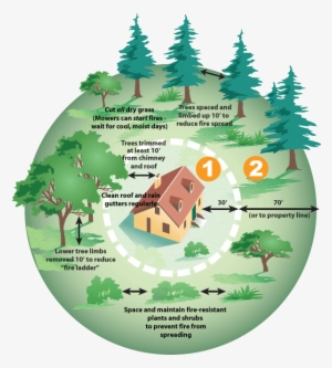 Wildland Fire Defensible Space #3138415