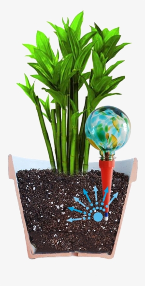 Do You Love Houseplants But Hate The Chore Of Watering - Plantpal Watering Globe Plant Watering System #3138553