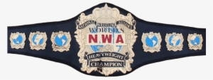Nwa Heavyweight Championship #3138576