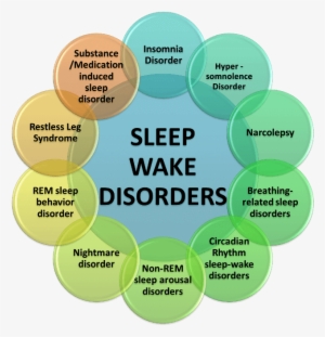 Good Sleep Promotes Good Health - Sleep Disorders #3139543