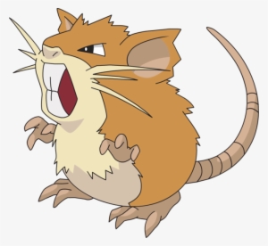 Raticate - Pokemon Raticate #3139619