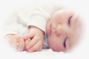 Established In February 2016, Soar's Sleep Program #3139825 Established In February 2016, Soar's Sleep Program #3139825