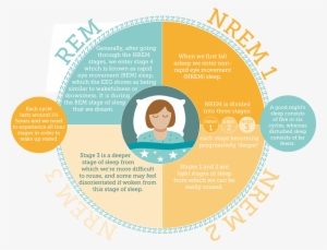 The Sleep Council How Much Sleep Do We Need - Book #3139993