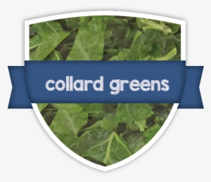 Superfit Greens Products - Label #3140111