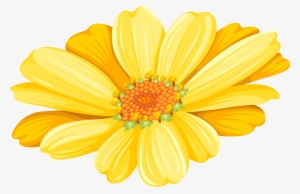 Marguerite Daisy Argyranthemum Frutescens #3140209