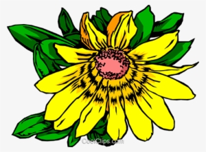 Yellow Daisy Royalty Free Vector Clip Art Illustration - Orchids #3140427