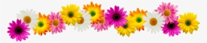 Spring Flower Border Clipart - Flower Border Line Clipart #3140593