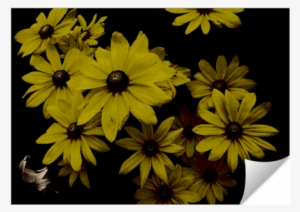 Yellow Daisies Old World Painting Look - Herrliche Gelbe Gänseblümchen-dunkelheit, Grußkarte #3140706