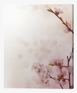 Cherry Blossom #3140731