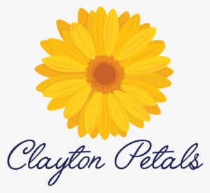 Dovecraft Clear Sentiment Stamp - Stars #3140763