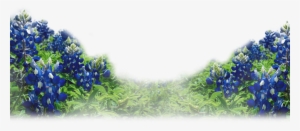 Take The First Step #3140816