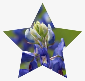 Here's A Texas-sized Wish For A Great Independence - Portable Network Graphics #3140992