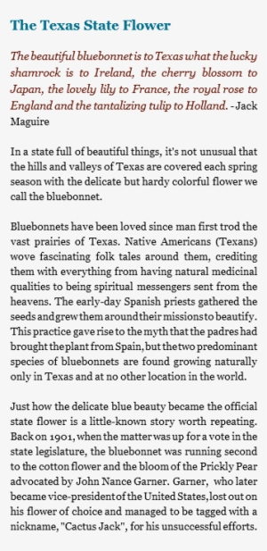 The Texas State Flower The Beautiful Bluebonnet Is - Bluebonnet #3141125