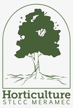 Special Presenting Sponsors - November #3141234